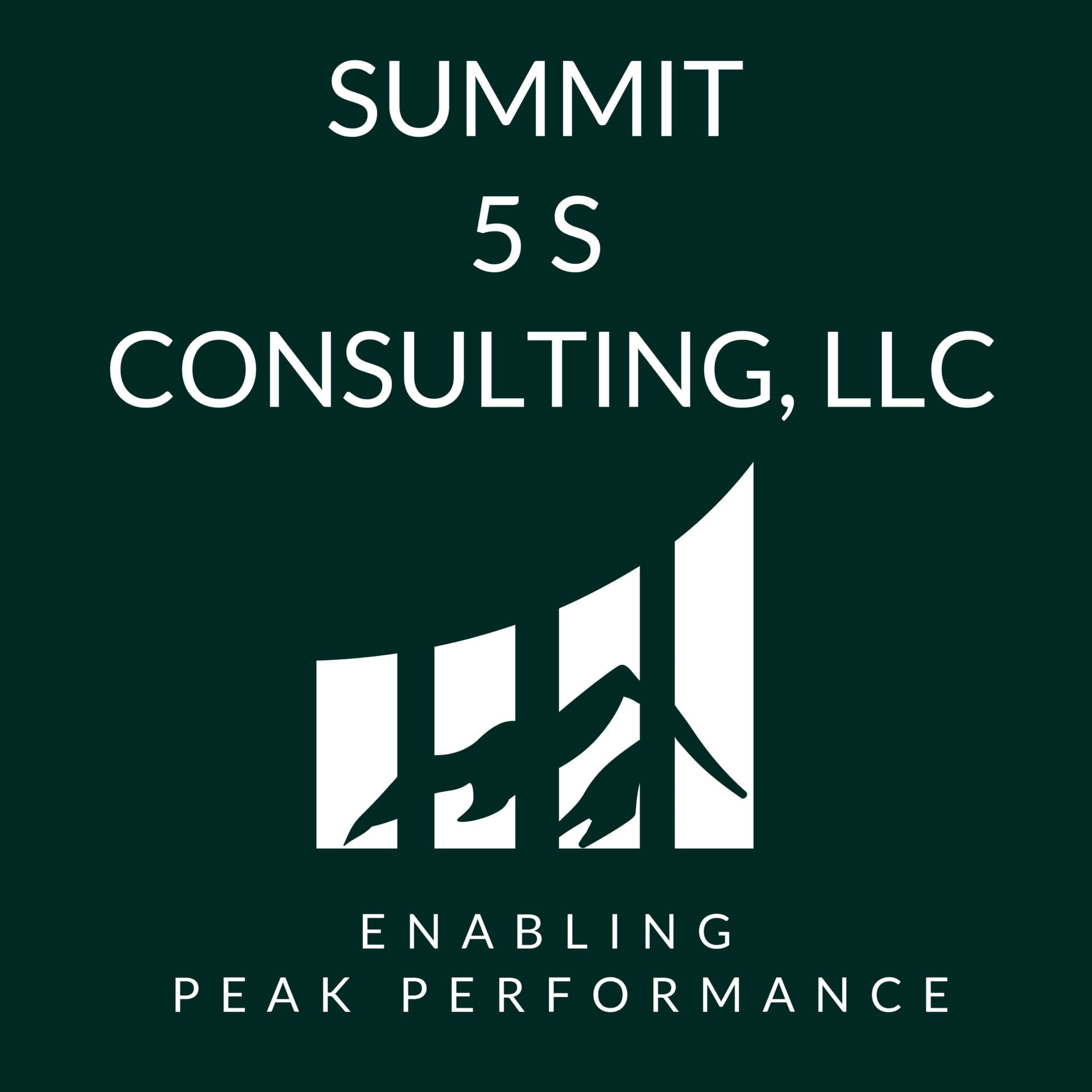 Summit 5S Consulting logo